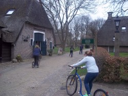 Afbeelding invoegen