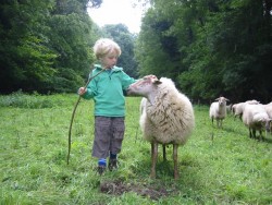 Afbeelding invoegen