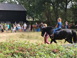 Afbeelding invoegen
