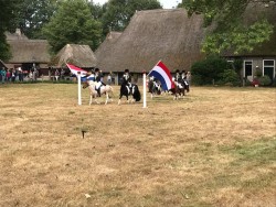 Afbeelding invoegen