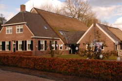 Afbeelding invoegen
