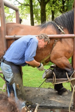 Afbeelding invoegen