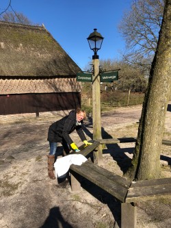Afbeelding invoegen
