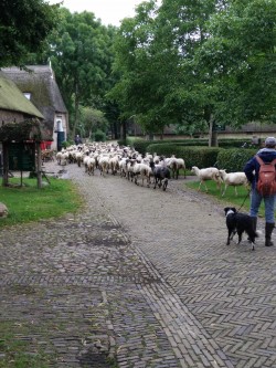 Afbeelding invoegen