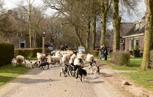 Afbeelding invoegen