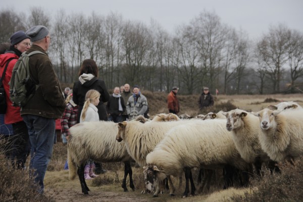 Afbeelding invoegen