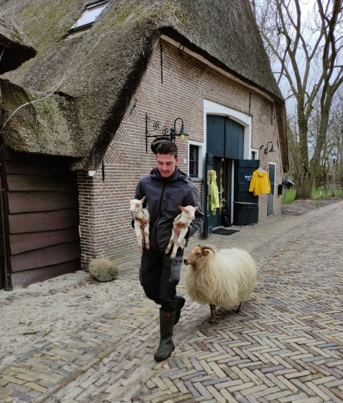Afbeelding invoegen